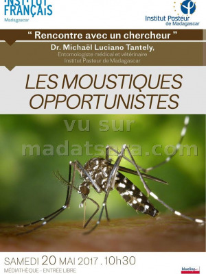 Les moustiques opportunistes - Rencontres avec un chercheur - IFM - Institut Français de Madagascar‍