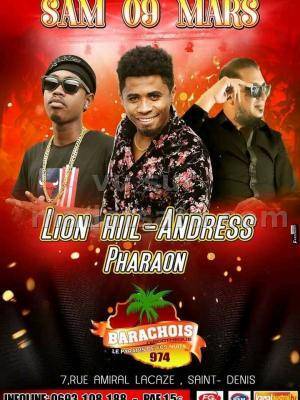 Lion Hill & Andress Le Barachois Saint Denis