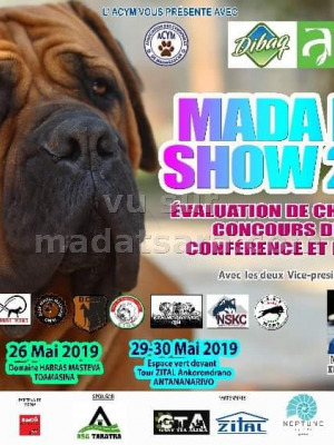 Madadog show 2019 - Espace Vert Tour Zital Ankorondrano‍ Domaine Harras Masteva Toamasina - Le Rêve Antsirabe‍