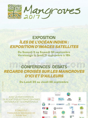 Mangroves 2017 - Exposition Iles de l'Océan Indien : Exposition d'images sattélites IFM - Institut Français de Madagascar‍