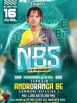 Nbs Terrain Androranga