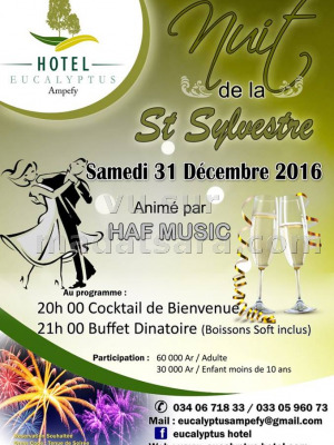 Nuit de la St-Sylvestre animée par HAF Music - Hotel Eucalyptus Ampefy