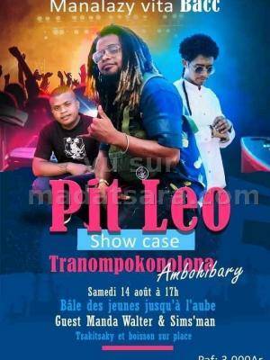 Pit Leo Tranompokonolona Ambohibary