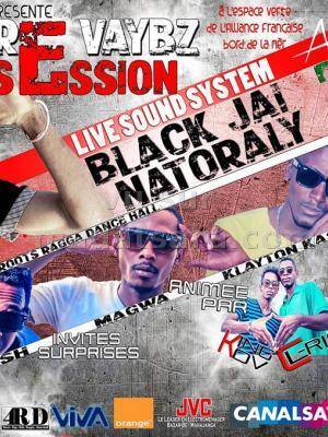 Pure Session Vaybz live sound system avec Black jai Natoraly à l'Espace verte de l'Alliance Française Bord de la mer