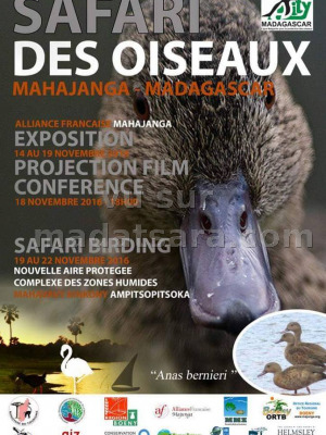 Safari des oiseaux - Exposition à AF - Alliance Française de Mahajanga‍