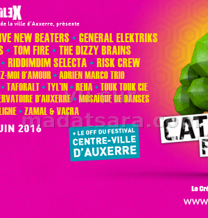 The Dizzy Brains au Catalpa Festival Auxerre