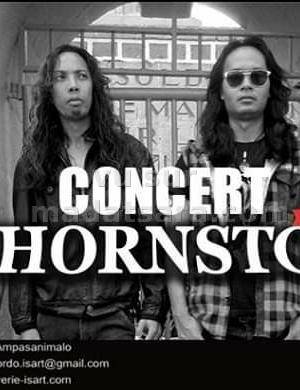 The Hornstone Is'Art Galerie