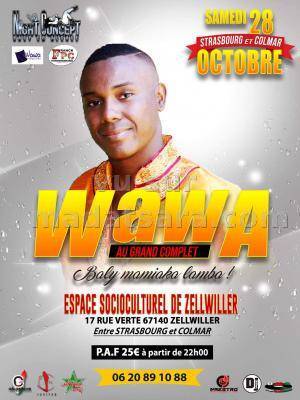 Wawa en concert au grand complet Espace Socioculturel De Zellwil