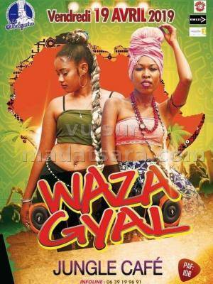 Waza Gyal Jungle Café Mamoudzou