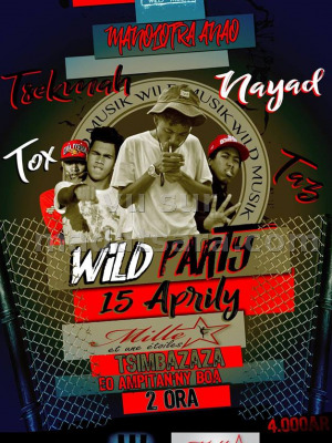 Wild Party - Studio Mille et Une étoiles Tsimbazaza‍