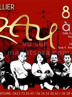 'Zay Espace Pitot Montpellier