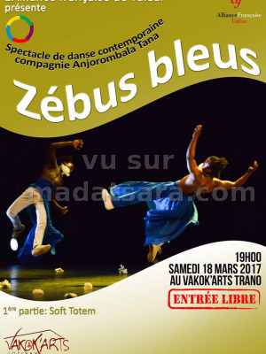 Zébus bleus - AF - Alliance Française de Toliara‍ Vakok'Arts Trano Toliary‍