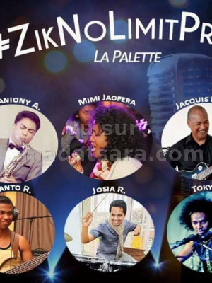 Ziknolimitproject - La Palette Antsirabe‍